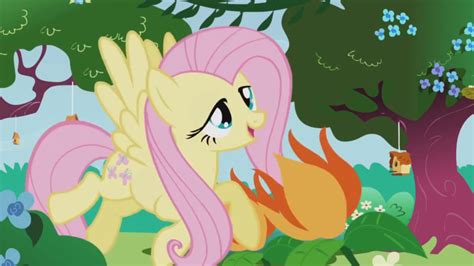 mlp fluttershy|[MLP] Fluttershy's Most Adorable Moments .